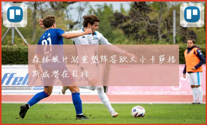 森林狼计划重塑阵容欧文小卡萨格斯成潜在目标